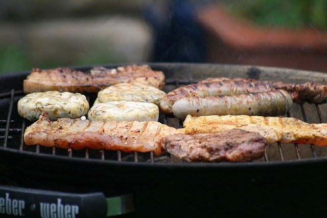 10 best Weber grill reviews consumer reports